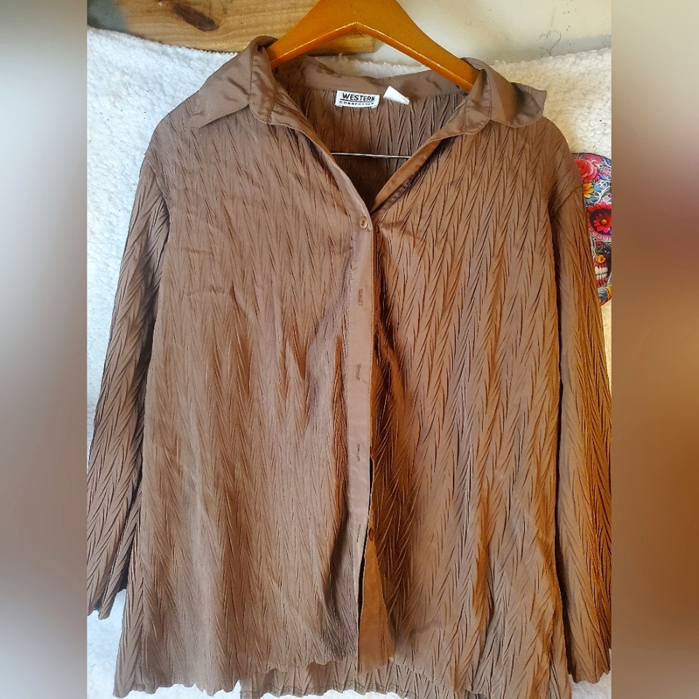 Brown Button-Up Blouse